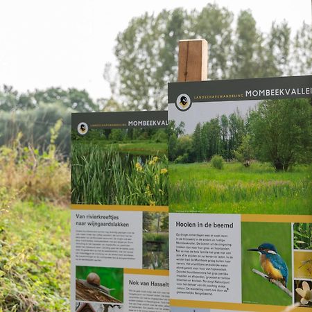 B&B Sasput Hasselt Exteriör bild